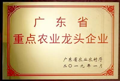 榮（róng）譽（yù）證書