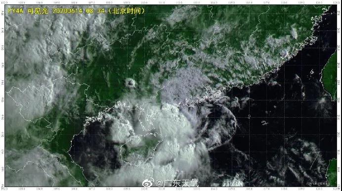 良種良法（fǎ）\台風來了，你的牛大力種植場準備好了嗎？